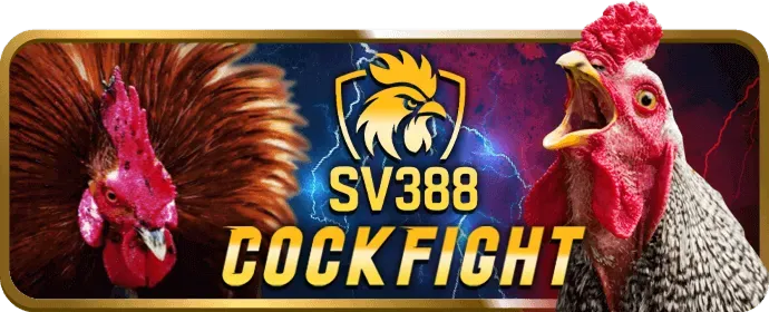 Sản phẩm giải trí đa dạng tại 888win nhà cái